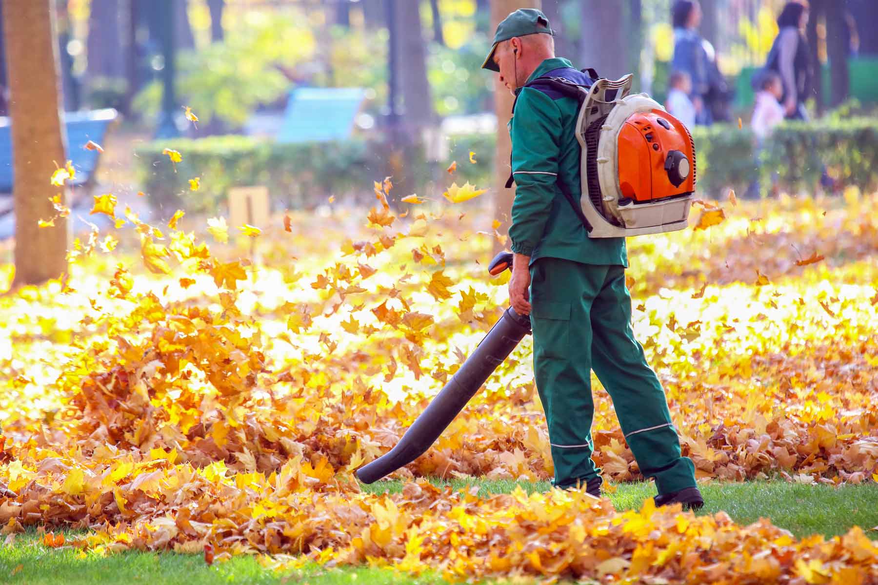 Rosa's Lawn Maintenance crew cleaning leaves